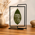 Personalisiertes Lorbeerblatt mit Foto-Gravur im Noir-Float-Rahmen